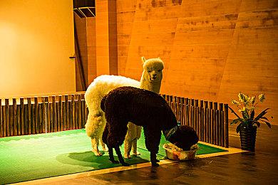 《绝世好武功》8月30日EA发售 国区售价58元